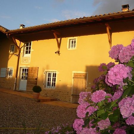 Hotel Bed & Breakfast - Maison De Marie Messimy-sur-Saone Exterior foto