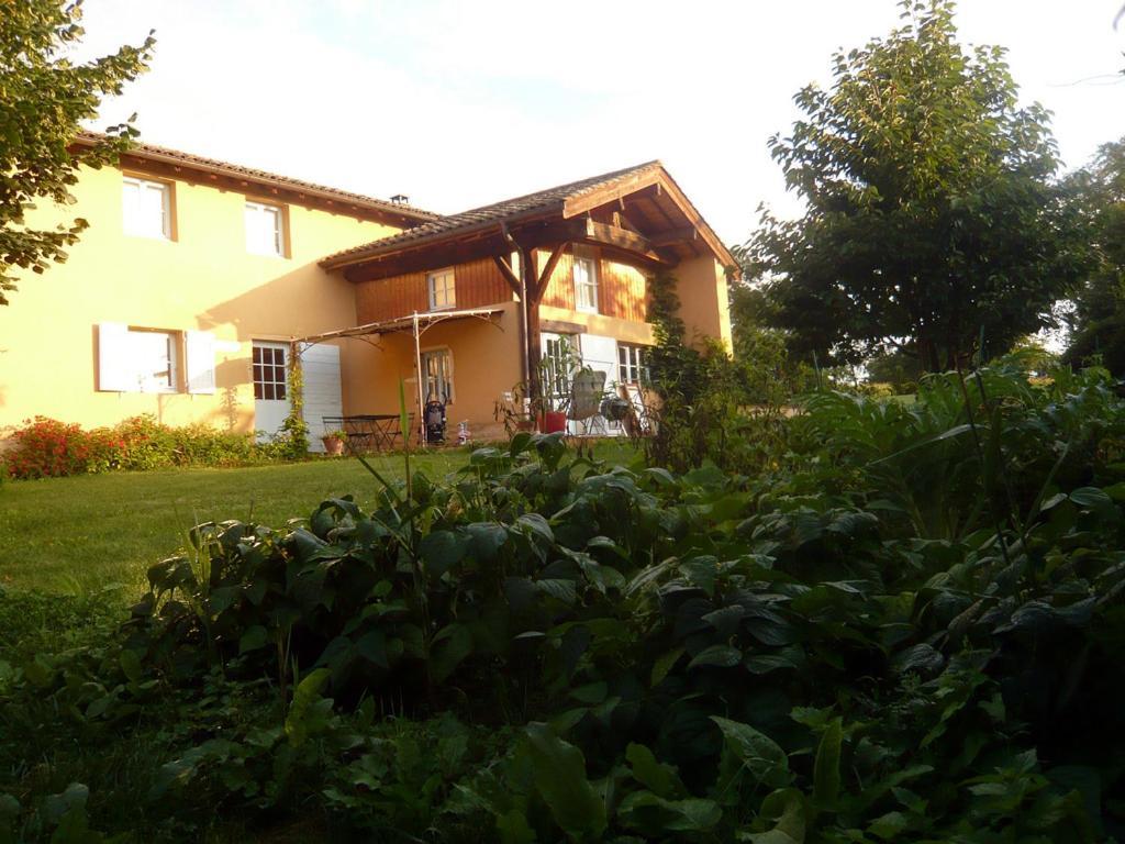 Hotel Bed & Breakfast - Maison De Marie Messimy-sur-Saone Exterior foto